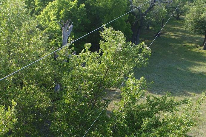 Aerial drone image of vegetation encroaching on utility infrastructure.